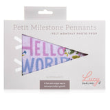 Little Artist Petit Milestone Pennant