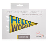 Little Kaleidoscope Petit Milestone Pennant