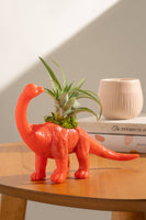 Red Orange Dinosaur Brachiosaurus Planter with Air Plant