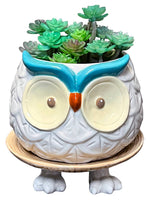 Hoots the Owl Footsie Planter